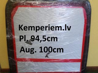 Polyplastic